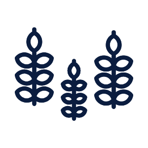 simboli